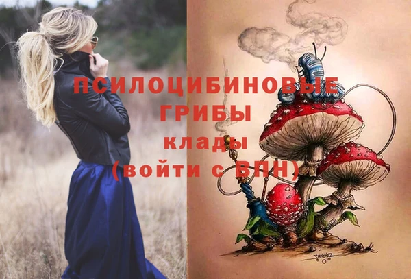 MESCALINE Аркадак