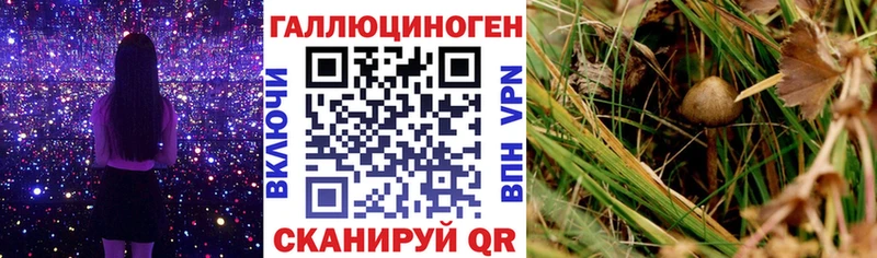hydra   Междуреченск  Псилоцибиновые грибы прущие грибы  купить наркотик 